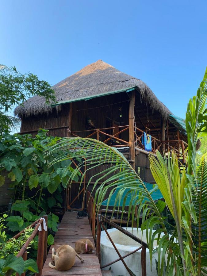 شقة Malinche Cafe In Coba Tulum المظهر الخارجي الصورة