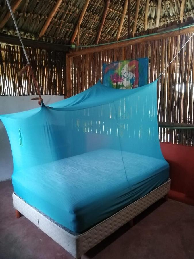 شقة Malinche Cafe In Coba Tulum المظهر الخارجي الصورة